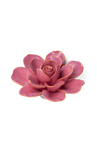 Blush Pink Tahitian Gardenia - Chive UK