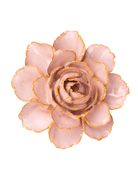 France Ceramic Flower Pink Zinnia - Chive UK