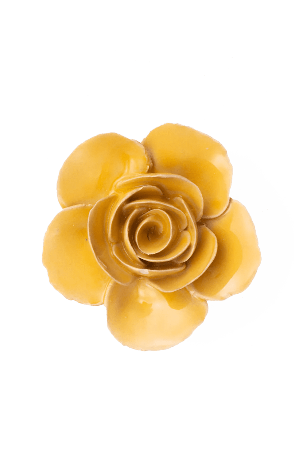 Burnt Yellow Elegance Ranunculus - Chive UK