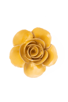 Burnt Yellow Elegance Ranunculus - Chive UK