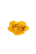 Burnt Yellow Elegance Ranunculus - Chive UK