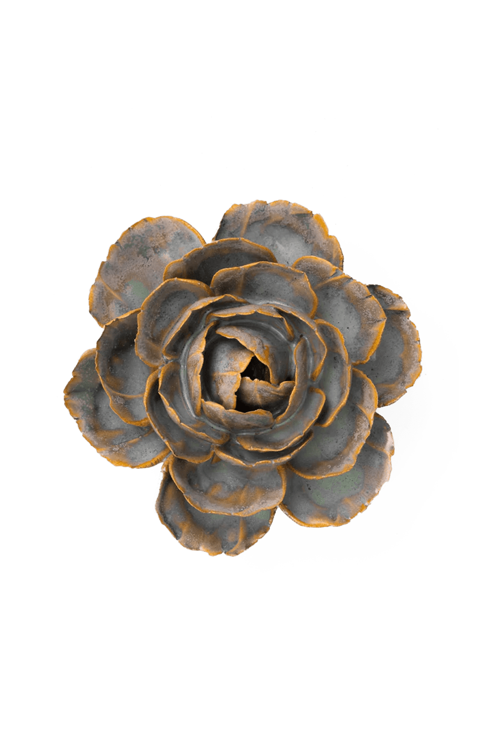 Pale Blue English Rose - Chive UK