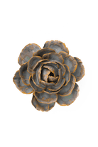 Pale Blue English Rose - Chive UK