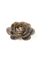 Pale Blue English Rose - Chive UK