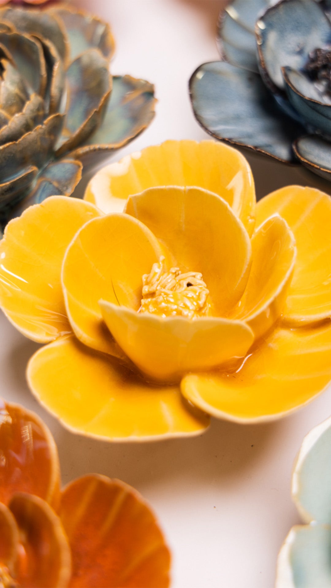 Burnt Yellow Poppy - Chive UK