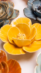 Burnt Yellow Poppy - Chive UK