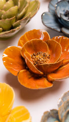 Burnt Orange Poppy - Chive UK