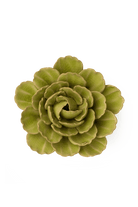 Peridot Keiko Peony - Chive UK