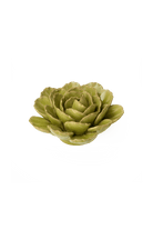 Peridot Keiko Peony - Chive UK