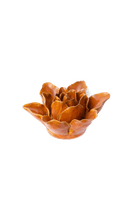 Burnt Orange Stargazer Lily - Chive UK