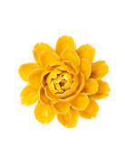 France Ceramic Flower Yellow Cabbage Flower - Chive UK