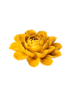 France Ceramic Flower Yellow Cabbage Flower - Chive UK