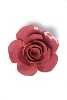 Blush Pink Elegance Ranunculus - Chive UK