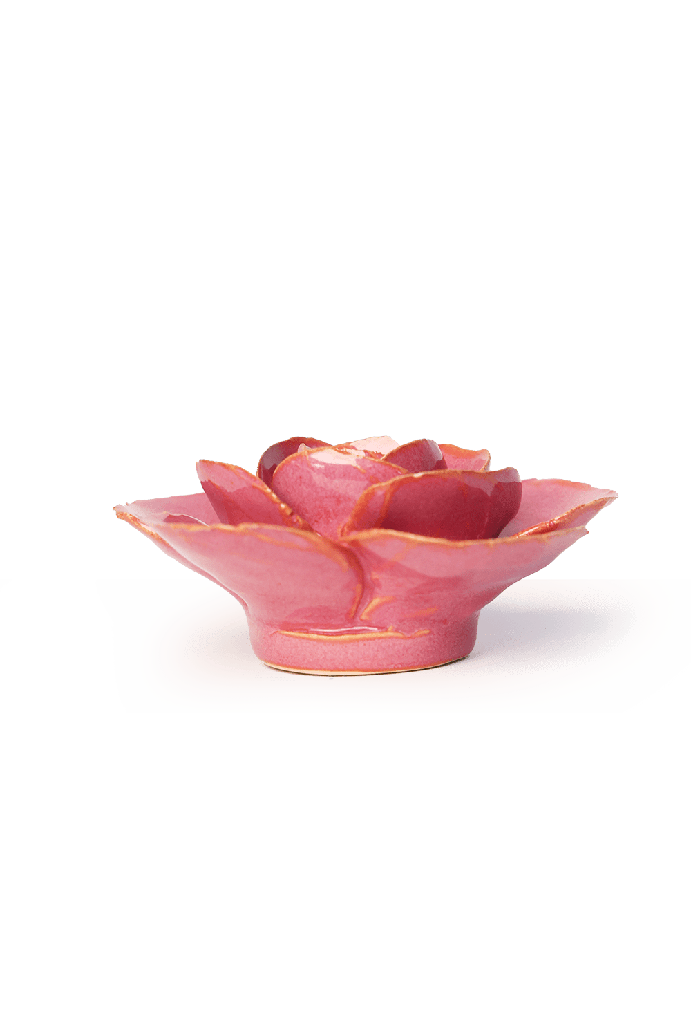 Blush Pink Elegance Ranunculus - Chive UK