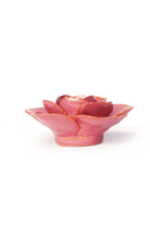 Blush Pink Elegance Ranunculus - Chive UK