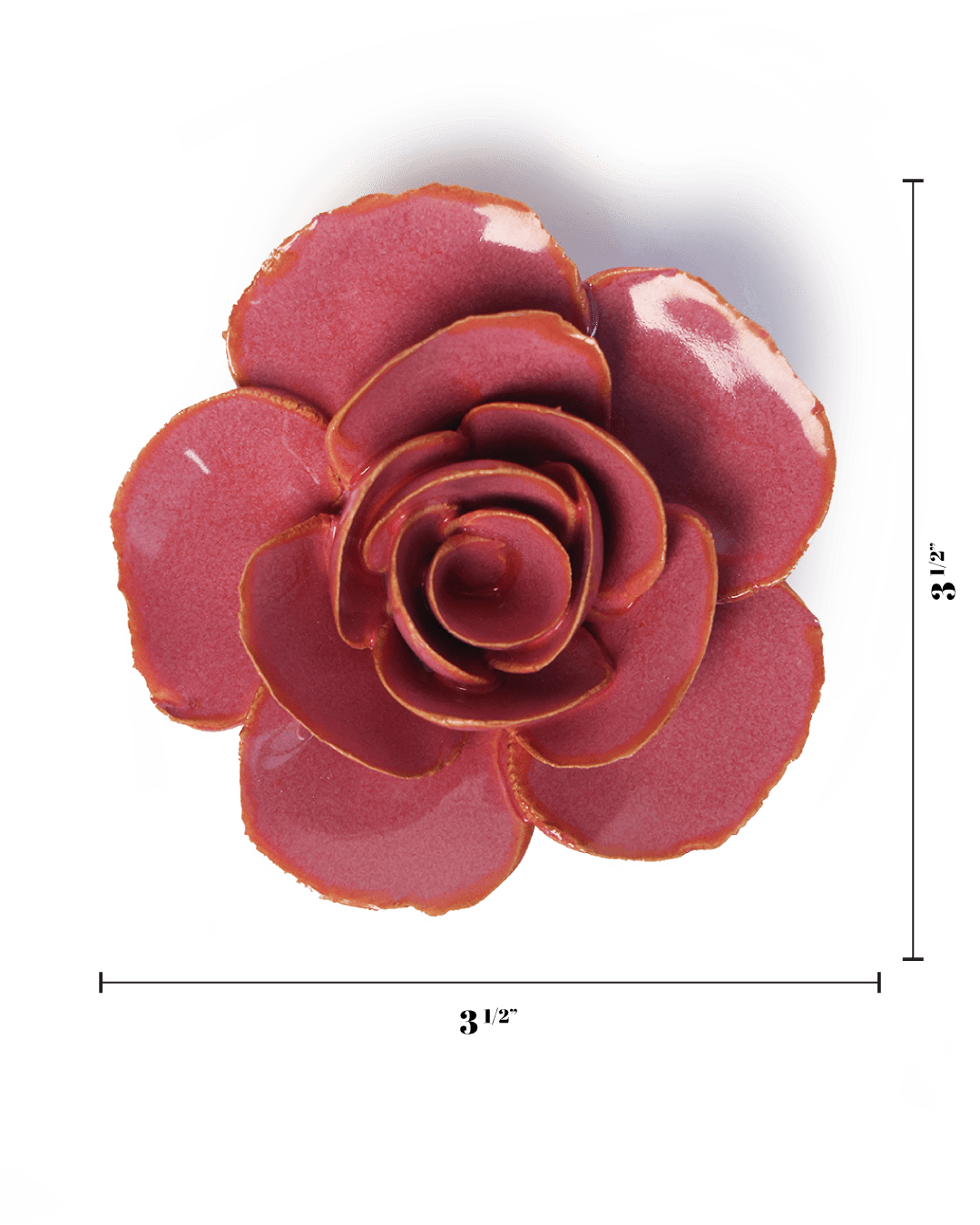 Blush Pink Elegance Ranunculus - Chive UK