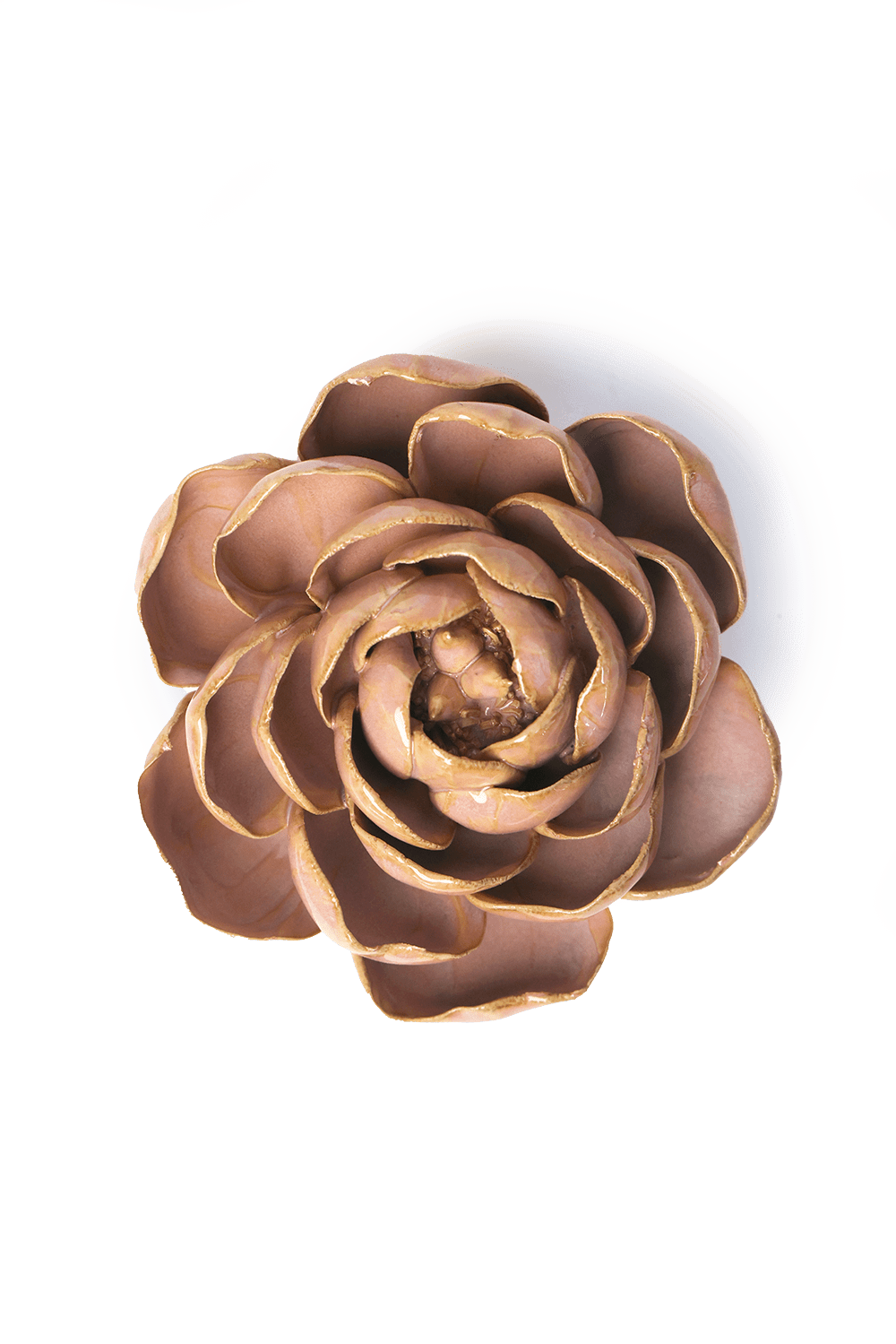 Rose Pink Big Ben Peony - Chive UK