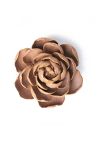 Rose Pink Big Ben Peony - Chive UK