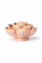 Rose Pink Big Ben Peony - Chive UK