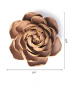 Rose Pink Big Ben Peony - Chive UK