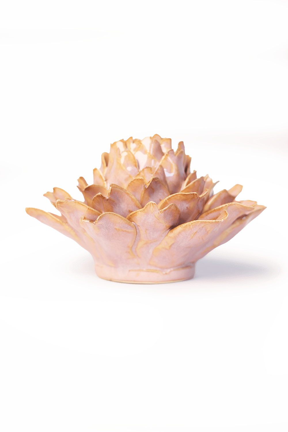 Rose Pink King Protea - Chive UK