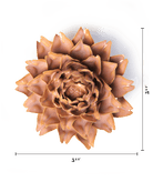 Rose Pink King Protea - Chive UK