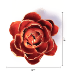 Orange Yellow Gay Paree Peony - Chive UK