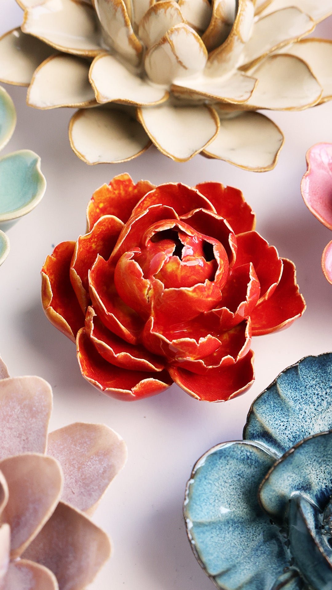 Orange Yellow Gay Paree Peony - Chive UK