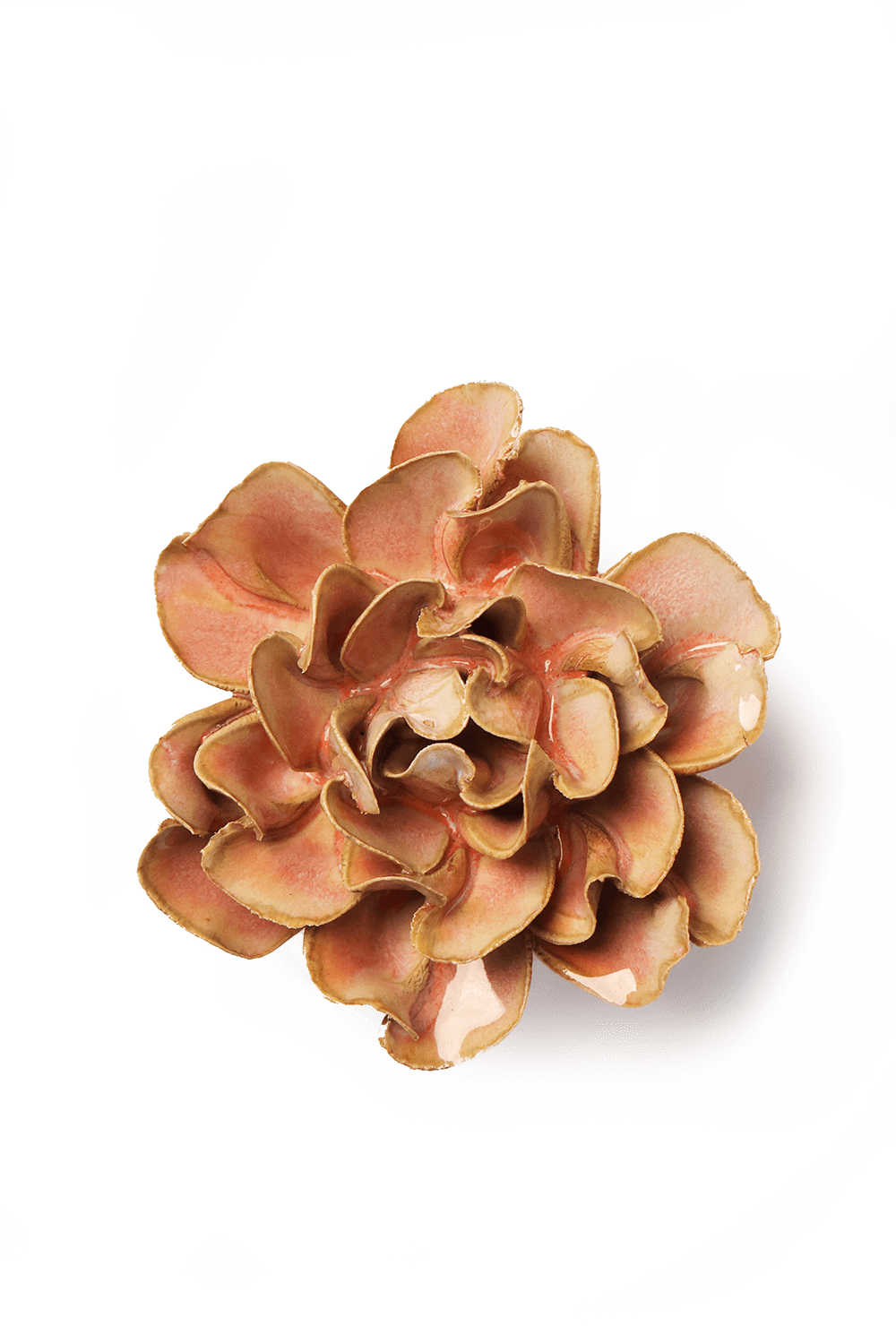 May Birth Flower - Hawthorn - Chive UK