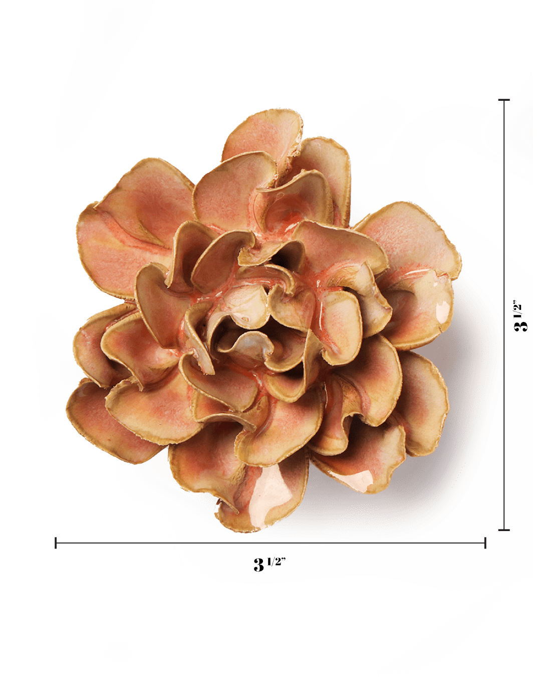 May Birth Flower - Hawthorn - Chive UK