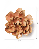 May Birth Flower - Hawthorn - Chive UK