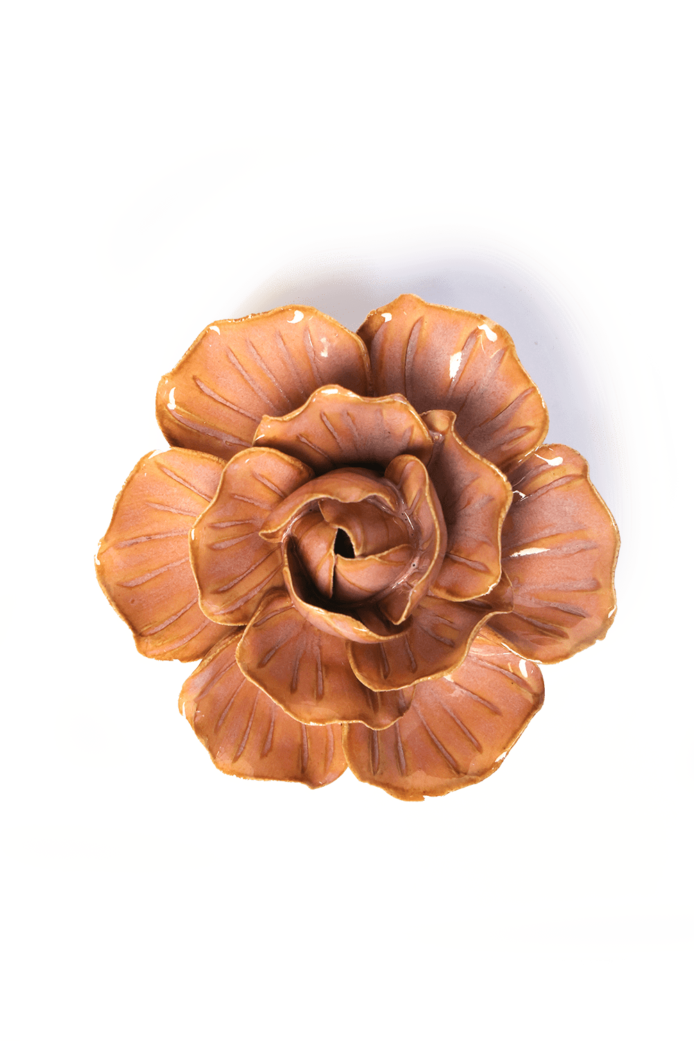 Peach Pink Solar Carnation - Chive UK