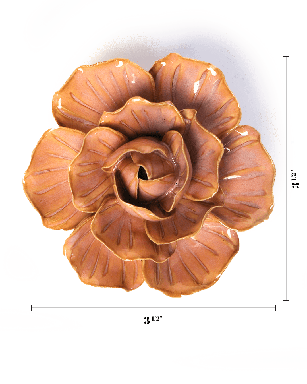 Peach Pink Solar Carnation - Chive UK