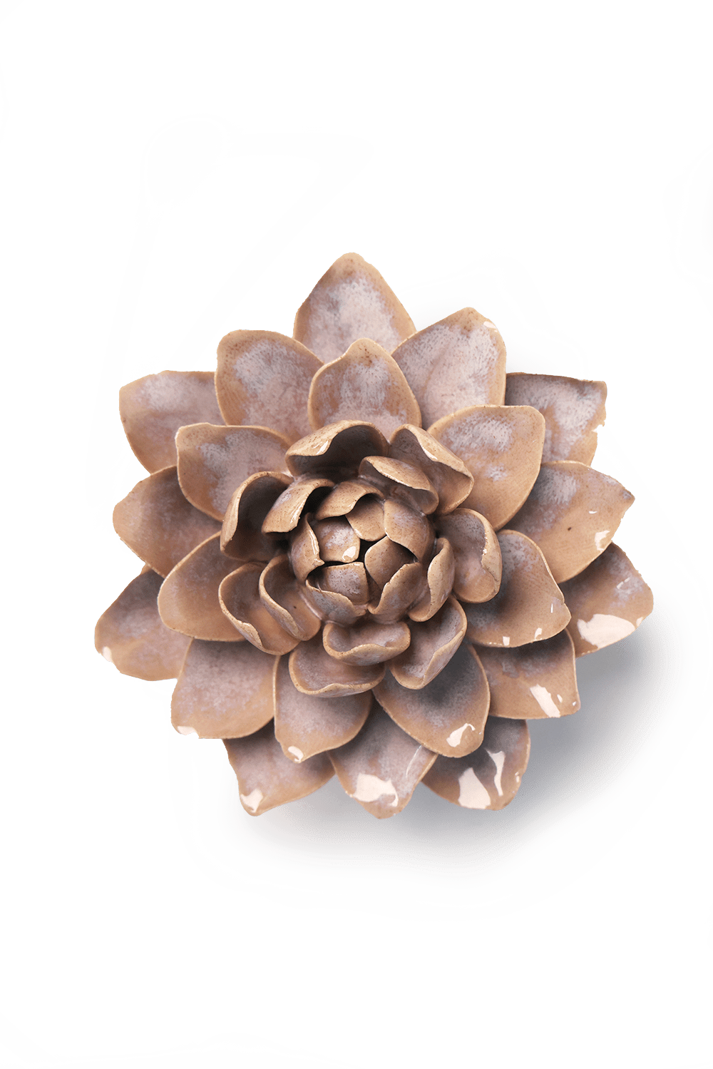 July Birth Flower - Waterlily - Chive UK