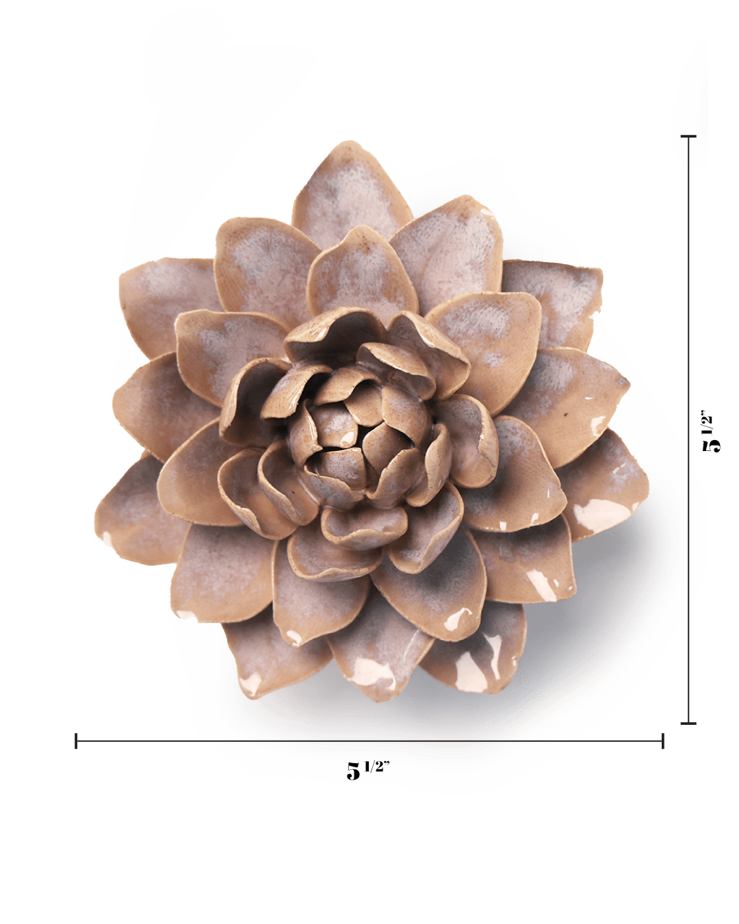 July Birth Flower - Waterlily - Chive UK