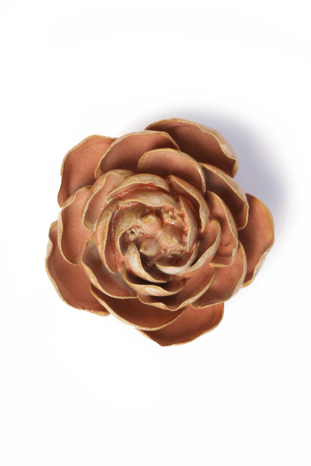 Peach Pink Big Ben Peony - Chive UK