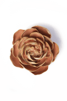 Peach Pink Big Ben Peony - Chive UK