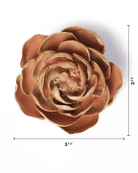 Peach Pink Big Ben Peony - Chive UK