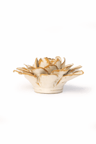 Oatmeal Starbrite Water Lily - Chive UK