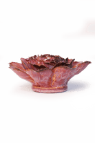 Dewberry Camellia - Chive UK