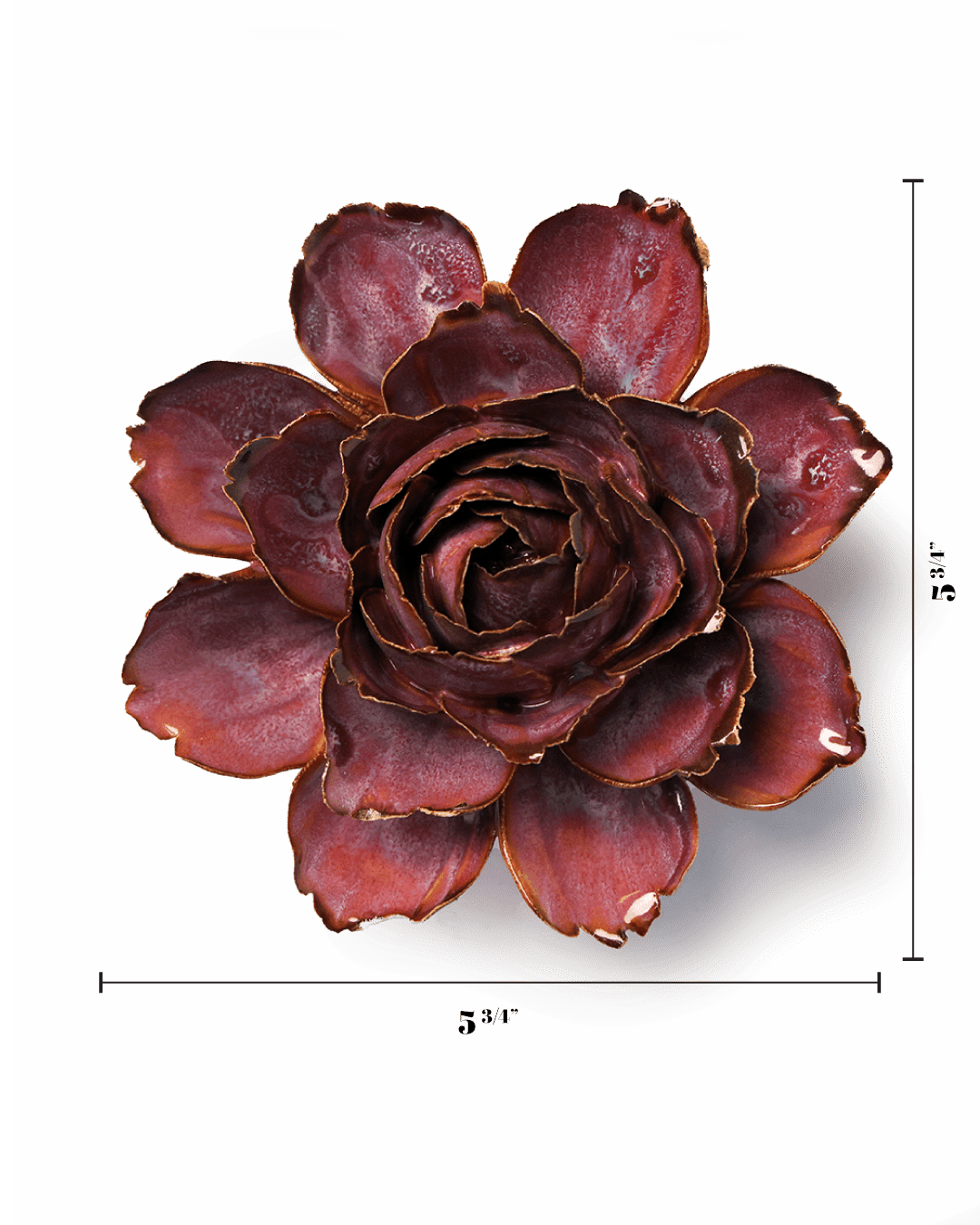 Dewberry Camellia - Chive UK