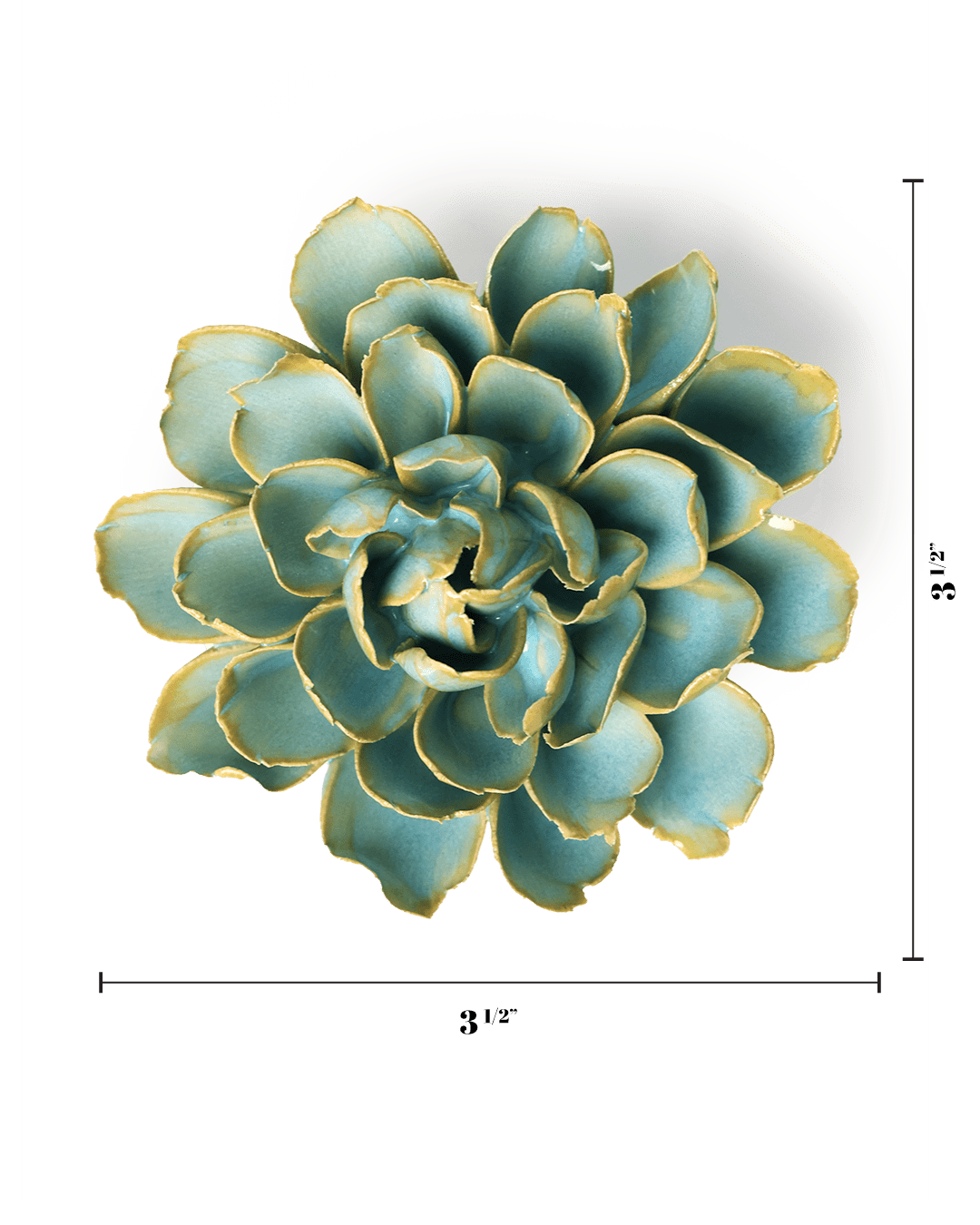 Robin's Egg Blue French Marigold - Chive UK