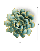 Robin's Egg Blue French Marigold - Chive UK