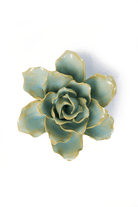 Robin's Egg Blue Stargazer Lily - Chive UK