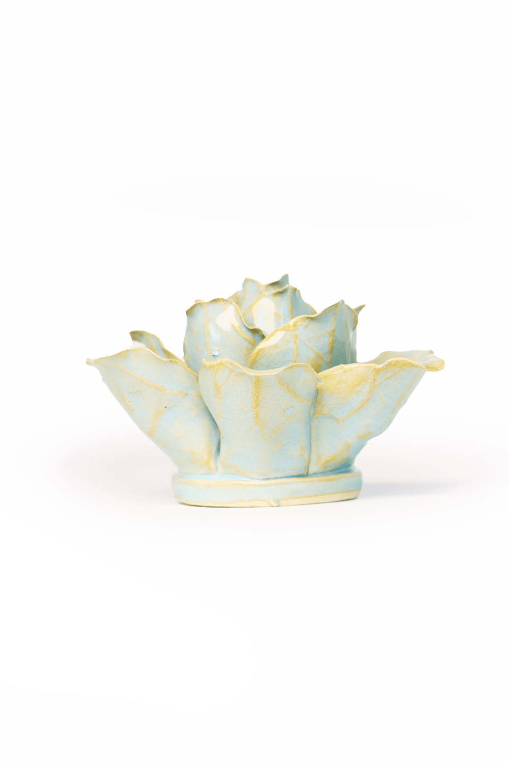 Robin's Egg Blue Stargazer Lily - Chive UK