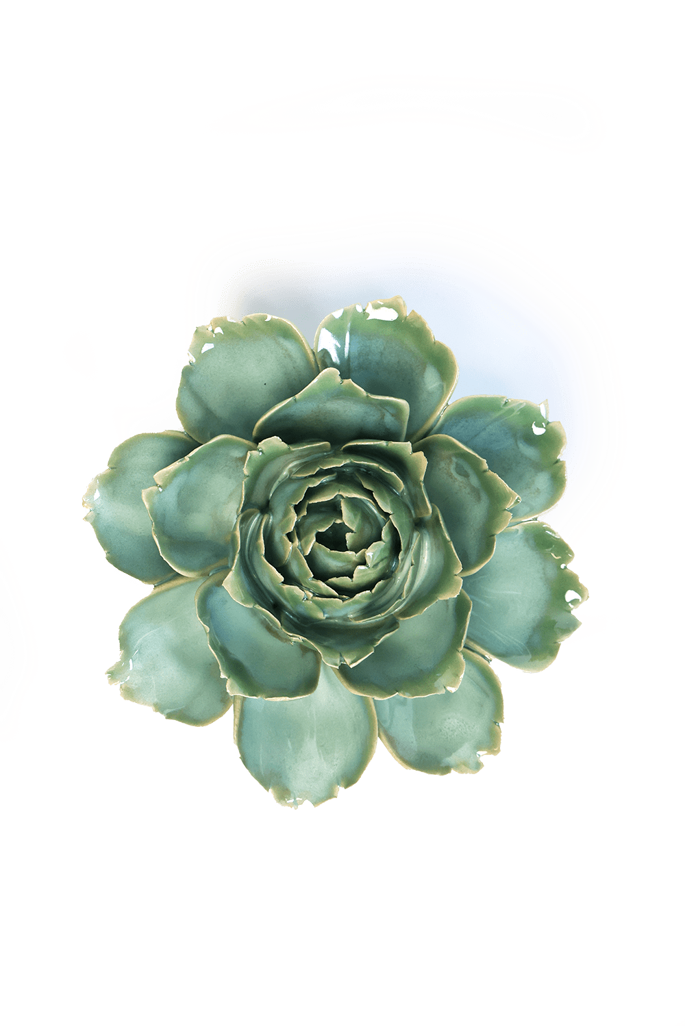 Milk Teal Camellia - Chive UK