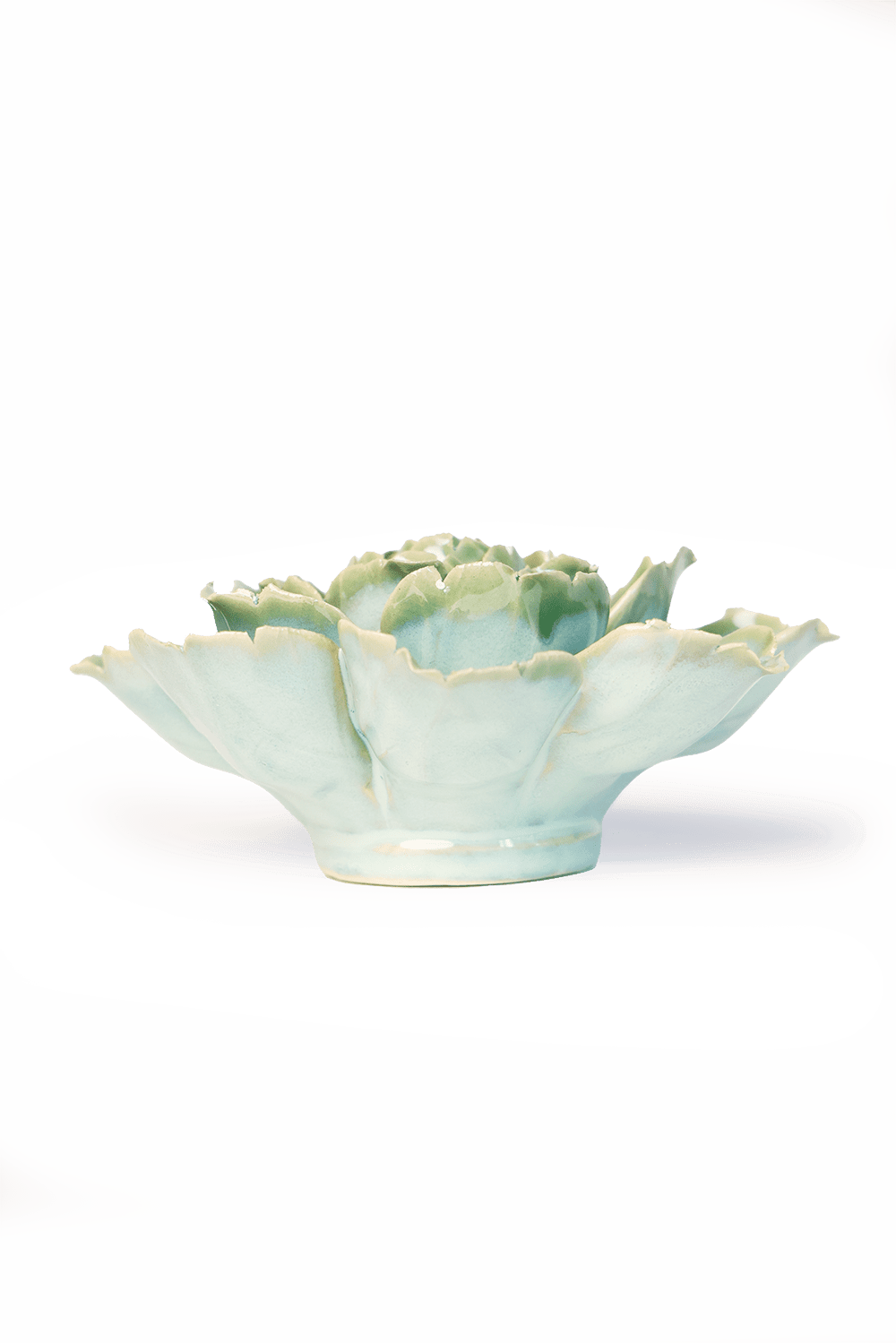 Milk Teal Camellia - Chive UK