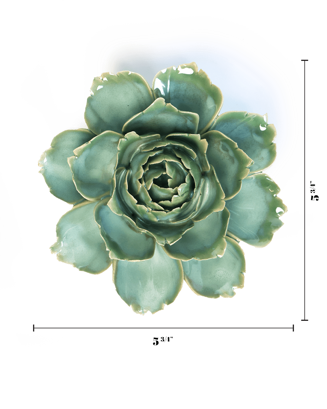 Milk Teal Camellia - Chive UK