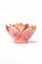 December Birth Flower - Narcissus - Chive UK