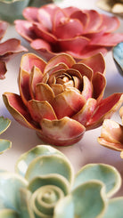 December Birth Flower - Narcissus - Chive UK